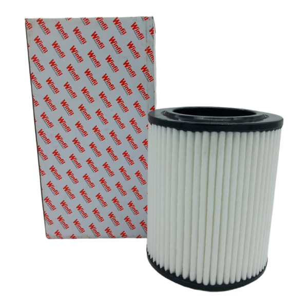 Filtro Aria Motore Winfil Codice.FAF-HD-048