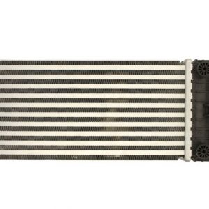 Intercooler Compatibile Per Peugeot 207 (WA) / 207 CC (WD) / 207 SW (WK)