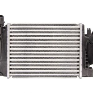 Intercooler Compatibile Per Renault Espace V (JR) / Grand Scenic IV (R9) / Kadjar (HA)