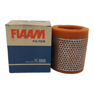 Filtro Aria Motore Fiaam Codice.FL6666