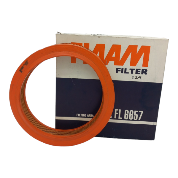 Filtro Aria Motore Fiaam Codice.FL6657