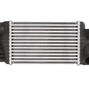 Intercooler Compatibile Per Nissan Juke (F15) / NV200 / Evalia Bus / Pulsar (C13)