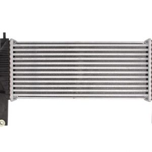 Intercooler Compatibile Per Nissan NP300 Navara (D40) / Pathfinder III (R51)