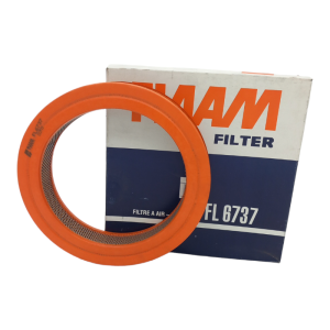 Filtro Aria Motore Fiaam Filter Codice.FL6737