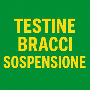 Testine Bracci