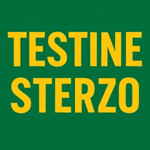 Testine Sterzo