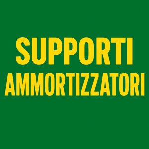 Supporti Ammortizzatori