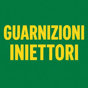 Guarnizioni Iniettori