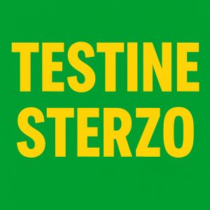 10. Testina Sterzo