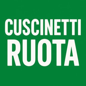 Cuscinetti Ruota