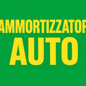 Ammortizzatori