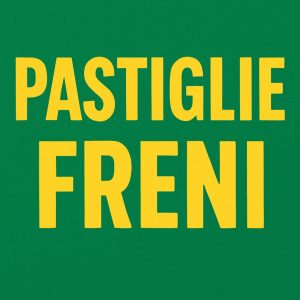 12. Pastiglie Freno