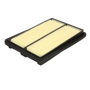 Filtro Aria Motore Art-97880 | Misure 252x172x35 | Per Euro 5