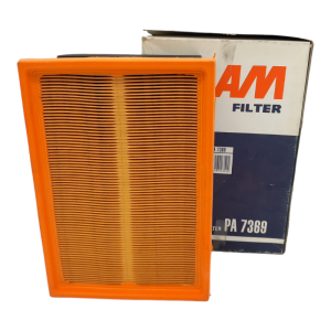 Filtro Aria Motore Fiaam Filter Codice.PA 7369
