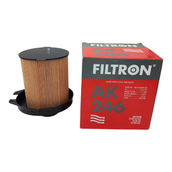 Filtro Aria Motore Filtron Codice.AK 246